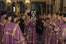 _MG_4984 - �����